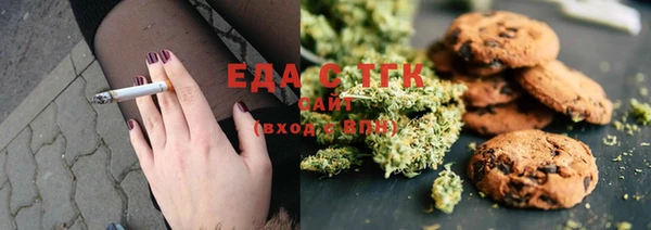 spice Богородицк