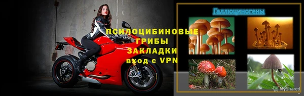 каннабис Богданович