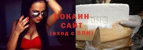 spice Богородицк