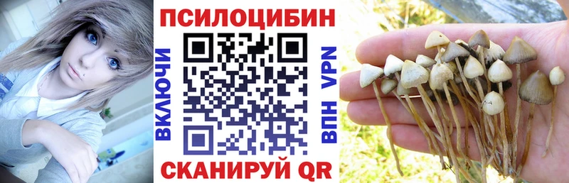 Купить закладки  Котельниково  Псилоцибиновые грибы прущие грибы 